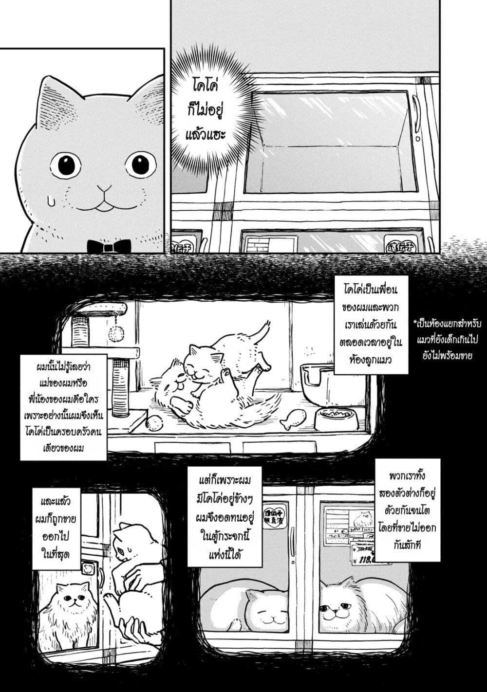 Manga-lc-com อ่านมังงะ อ่านการ์ตูน ออนไลน์ ฟรี Tsureneko – Maruru to Hachi ตอนที่ 1 2 3 4 5 6 7 8 9 10 11 12 13 14 ฟรี ไม่มีโฆษณา Manga-lc - อ่าน มังงะ อ่าน การ์ตูน ออนไลน์ อ่านมังงะ ฟรี