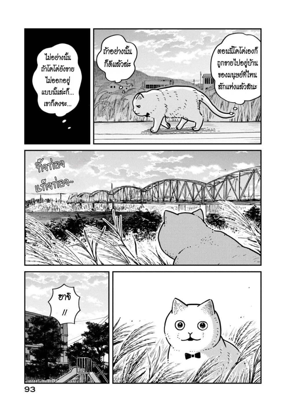 Manga-lc-com อ่านมังงะ อ่านการ์ตูน ออนไลน์ ฟรี Tsureneko – Maruru to Hachi ตอนที่ 1 2 3 4 5 6 7 8 9 10 11 12 13 14 ฟรี ไม่มีโฆษณา Manga-lc - อ่าน มังงะ อ่าน การ์ตูน ออนไลน์ อ่านมังงะ ฟรี