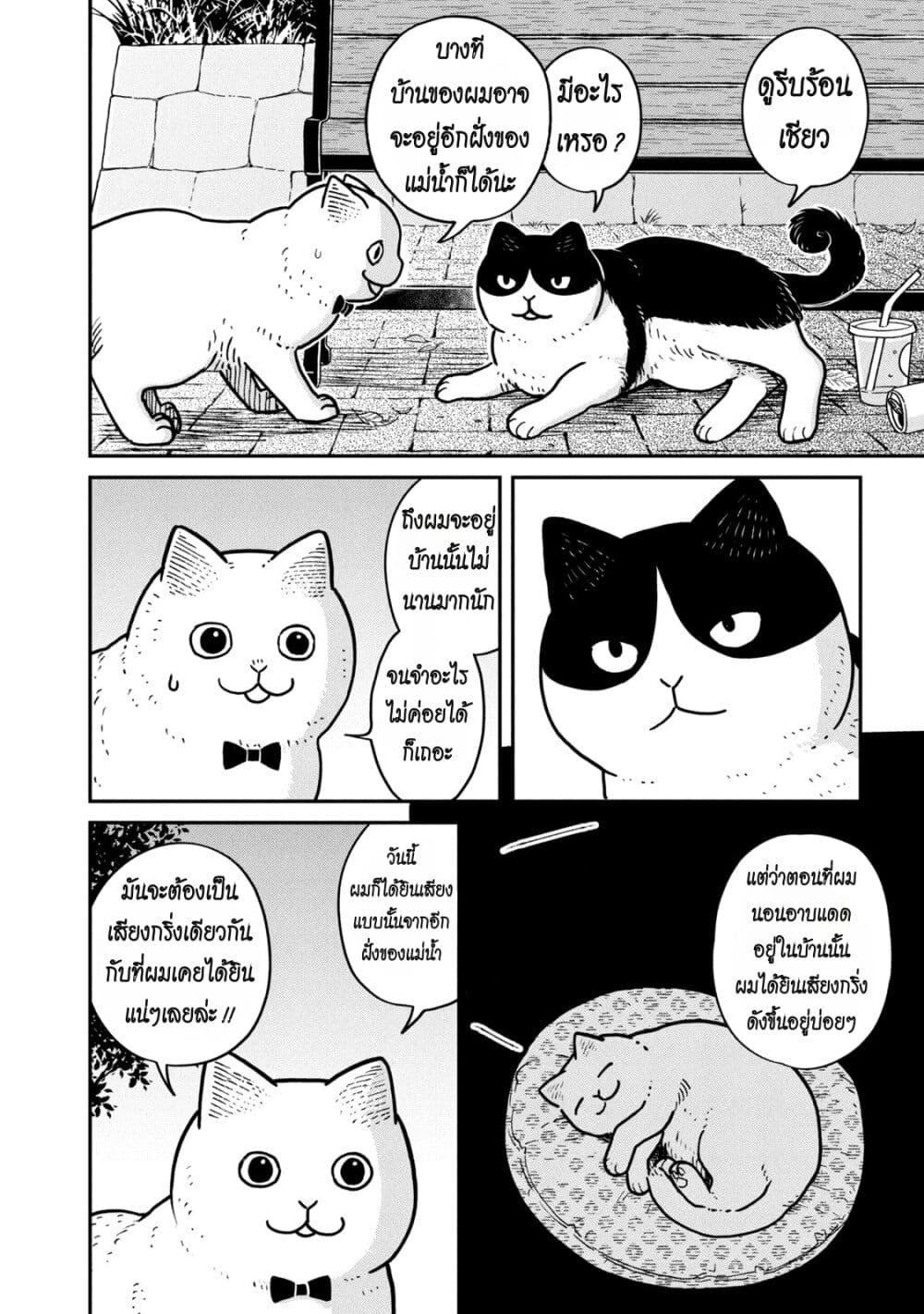 Manga-lc-com อ่านมังงะ อ่านการ์ตูน ออนไลน์ ฟรี Tsureneko – Maruru to Hachi ตอนที่ 1 2 3 4 5 6 7 8 9 10 11 12 13 14 ฟรี ไม่มีโฆษณา Manga-lc - อ่าน มังงะ อ่าน การ์ตูน ออนไลน์ อ่านมังงะ ฟรี