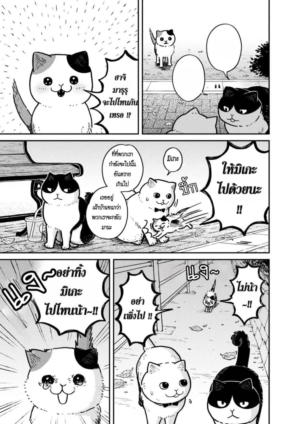 Manga-lc-com อ่านมังงะ อ่านการ์ตูน ออนไลน์ ฟรี Tsureneko – Maruru to Hachi ตอนที่ 1 2 3 4 5 6 7 8 9 10 11 12 13 14 ฟรี ไม่มีโฆษณา Manga-lc - อ่าน มังงะ อ่าน การ์ตูน ออนไลน์ อ่านมังงะ ฟรี