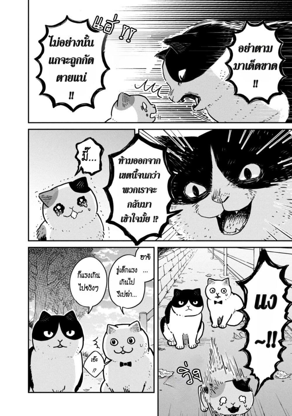 Manga-lc-com อ่านมังงะ อ่านการ์ตูน ออนไลน์ ฟรี Tsureneko – Maruru to Hachi ตอนที่ 1 2 3 4 5 6 7 8 9 10 11 12 13 14 ฟรี ไม่มีโฆษณา Manga-lc - อ่าน มังงะ อ่าน การ์ตูน ออนไลน์ อ่านมังงะ ฟรี