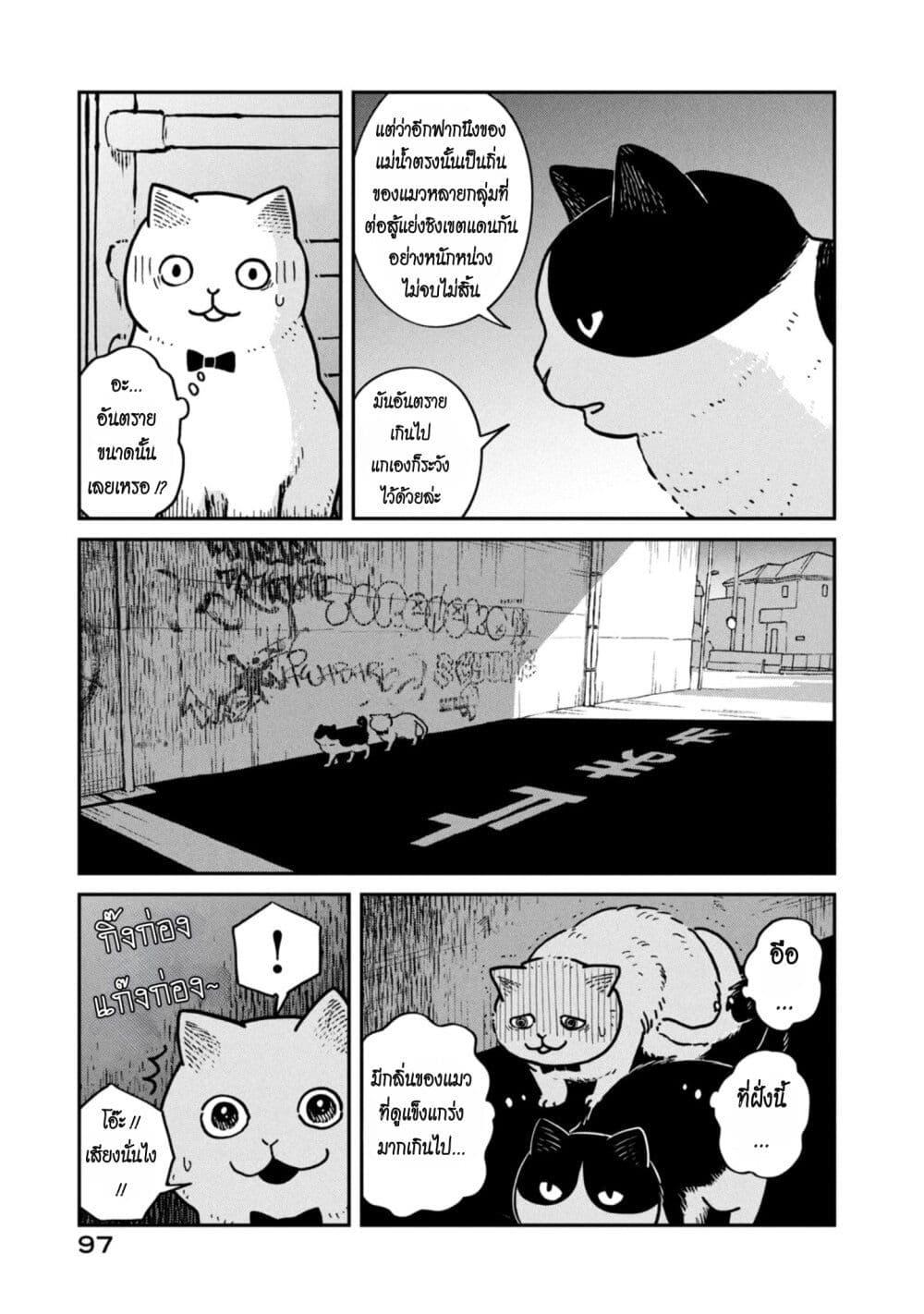 Manga-lc-com อ่านมังงะ อ่านการ์ตูน ออนไลน์ ฟรี Tsureneko – Maruru to Hachi ตอนที่ 1 2 3 4 5 6 7 8 9 10 11 12 13 14 ฟรี ไม่มีโฆษณา Manga-lc - อ่าน มังงะ อ่าน การ์ตูน ออนไลน์ อ่านมังงะ ฟรี