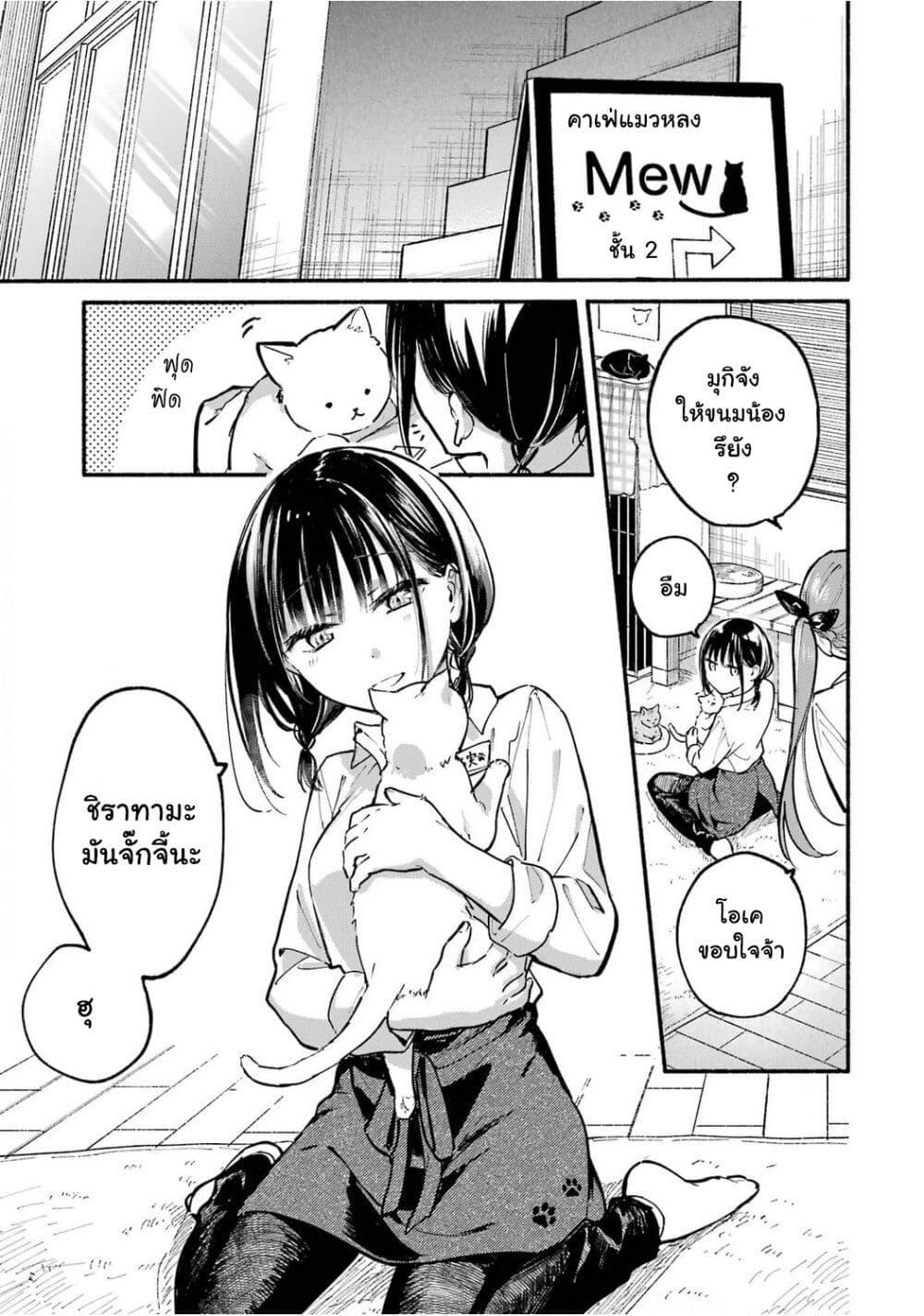 Manga-lc-com อ่านมังงะ อ่านการ์ตูน ออนไลน์ ฟรี Tonari No Neko To Koi Shirazu ตอนที่ 1 2 3 4 5 6 7 8 9 10 11 12 13 14 ฟรี ไม่มีโฆษณา Manga-lc - อ่าน มังงะ อ่าน การ์ตูน ออนไลน์ อ่านมังงะ ฟรี