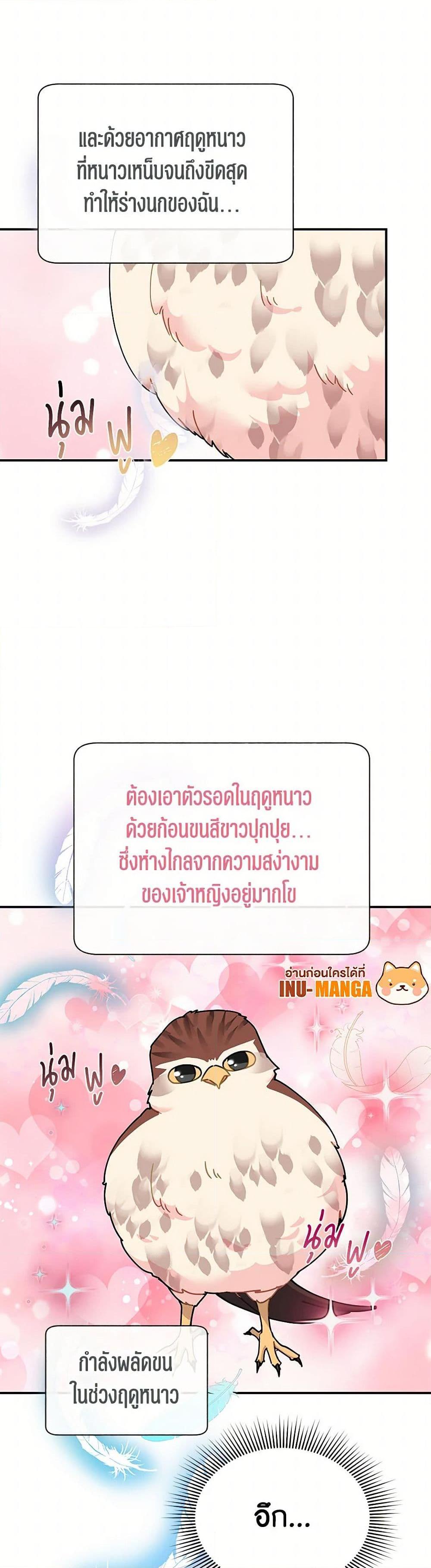 Manga-lc-com อ่านมังงะ อ่านการ์ตูน ออนไลน์ ฟรี The Falcon Princess ตอนที่ 1 2 3 4 5 6 7 8 9 10 11 12 13 14 ฟรี ไม่มีโฆษณา Manga-lc - อ่าน มังงะ อ่าน การ์ตูน ออนไลน์ อ่านมังงะ ฟรี