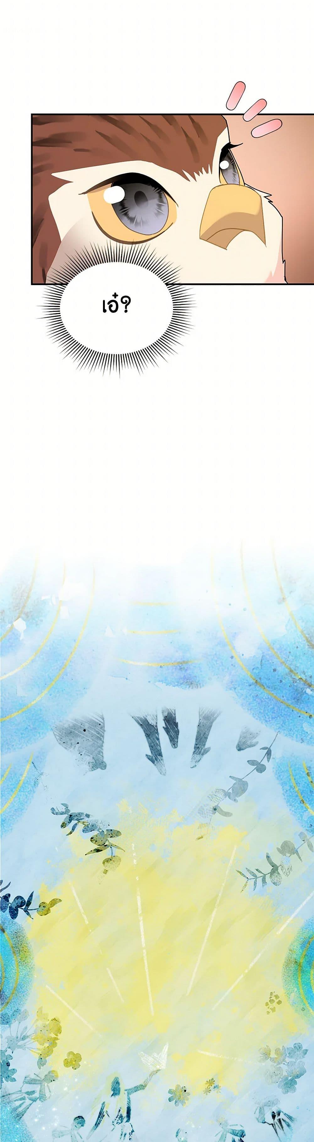 Manga-lc-com อ่านมังงะ อ่านการ์ตูน ออนไลน์ ฟรี The Falcon Princess ตอนที่ 1 2 3 4 5 6 7 8 9 10 11 12 13 14 ฟรี ไม่มีโฆษณา Manga-lc - อ่าน มังงะ อ่าน การ์ตูน ออนไลน์ อ่านมังงะ ฟรี