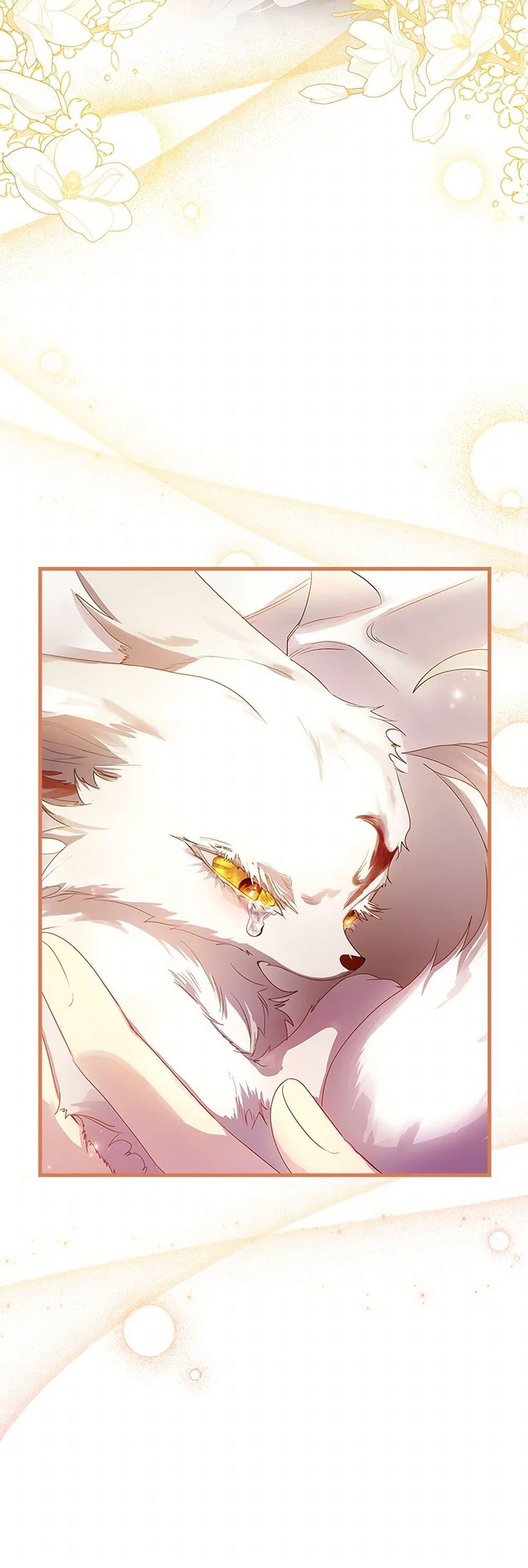 Manga-lc-com อ่านมังงะ อ่านการ์ตูน ออนไลน์ ฟรี I Raised the Nine-Tailed Fox Wrongly ตอนที่ 1 2 3 4 5 6 7 8 9 10 11 12 13 14 ฟรี ไม่มีโฆษณา Manga-lc - อ่าน มังงะ อ่าน การ์ตูน ออนไลน์ อ่านมังงะ ฟรี