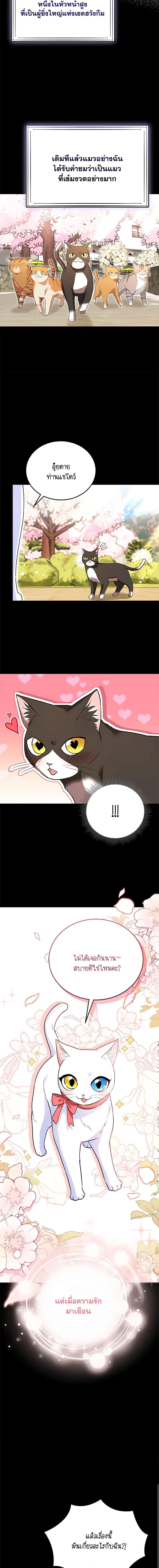 Manga-lc-com อ่านมังงะ อ่านการ์ตูน ออนไลน์ ฟรี Hello! Veterinarian! ตอนที่ 1 2 3 4 5 6 7 8 9 10 11 12 13 14 ฟรี ไม่มีโฆษณา Manga-lc - อ่าน มังงะ อ่าน การ์ตูน ออนไลน์ อ่านมังงะ ฟรี