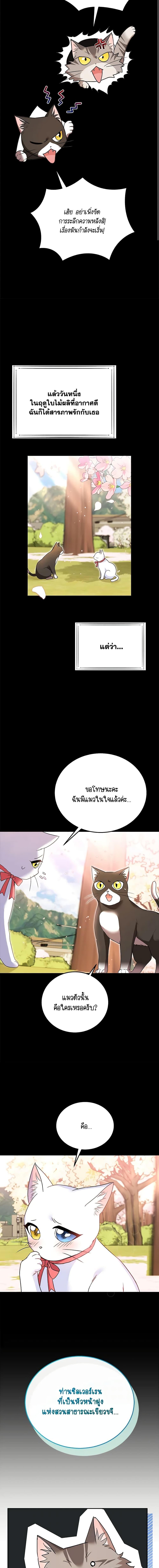 Manga-lc-com อ่านมังงะ อ่านการ์ตูน ออนไลน์ ฟรี Hello! Veterinarian! ตอนที่ 1 2 3 4 5 6 7 8 9 10 11 12 13 14 ฟรี ไม่มีโฆษณา Manga-lc - อ่าน มังงะ อ่าน การ์ตูน ออนไลน์ อ่านมังงะ ฟรี