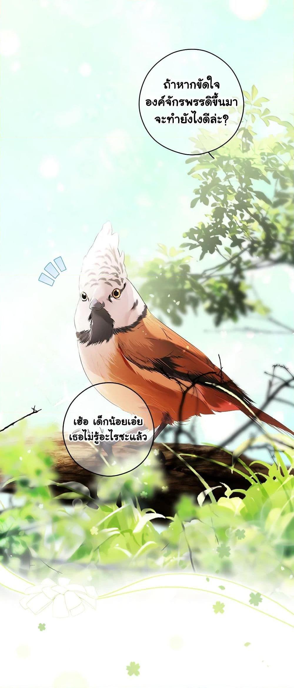 Manga-lc-com อ่านมังงะ อ่านการ์ตูน ออนไลน์ ฟรี Secret Lady ตอนที่ 1 2 3 4 5 6 7 8 9 10 11 12 13 14 ฟรี ไม่มีโฆษณา Manga-lc - อ่าน มังงะ อ่าน การ์ตูน ออนไลน์ อ่านมังงะ ฟรี