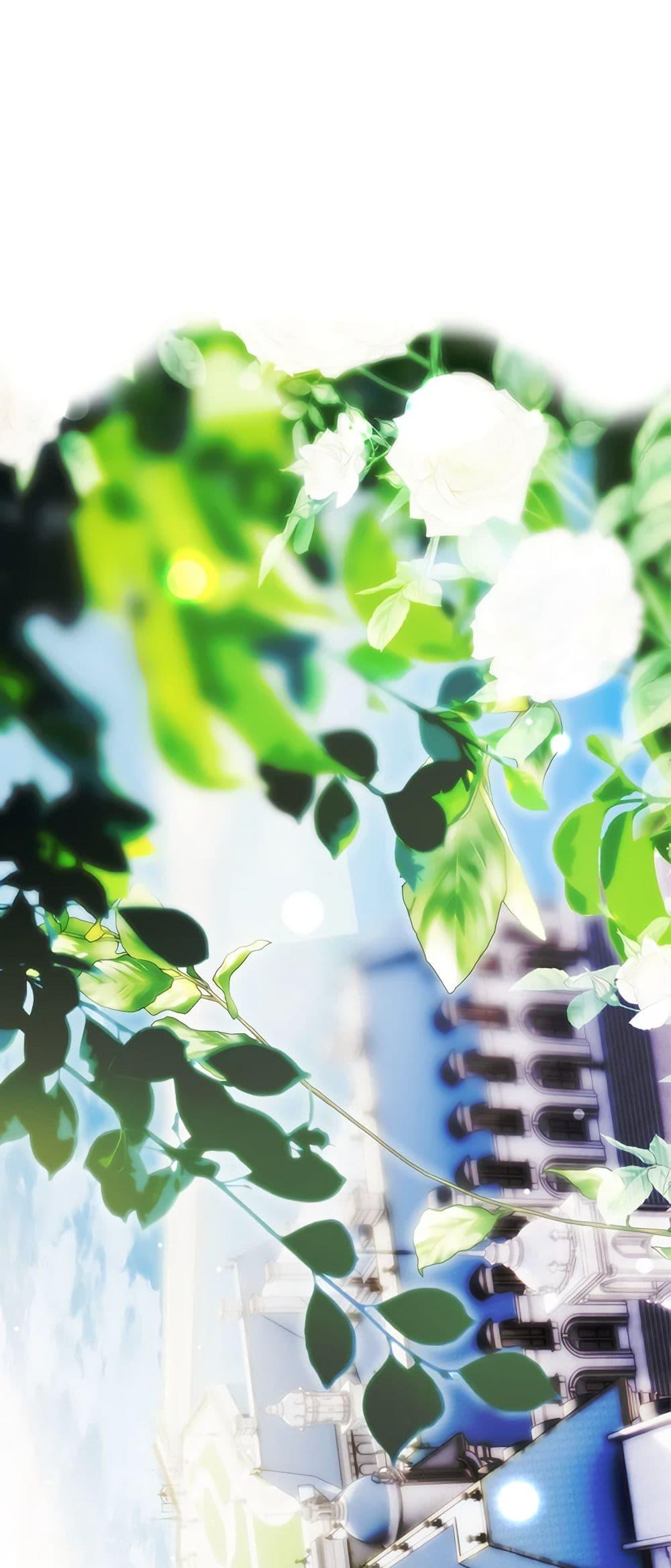 Manga-lc-com อ่านมังงะ อ่านการ์ตูน ออนไลน์ ฟรี Secret Lady ตอนที่ 1 2 3 4 5 6 7 8 9 10 11 12 13 14 ฟรี ไม่มีโฆษณา Manga-lc - อ่าน มังงะ อ่าน การ์ตูน ออนไลน์ อ่านมังงะ ฟรี