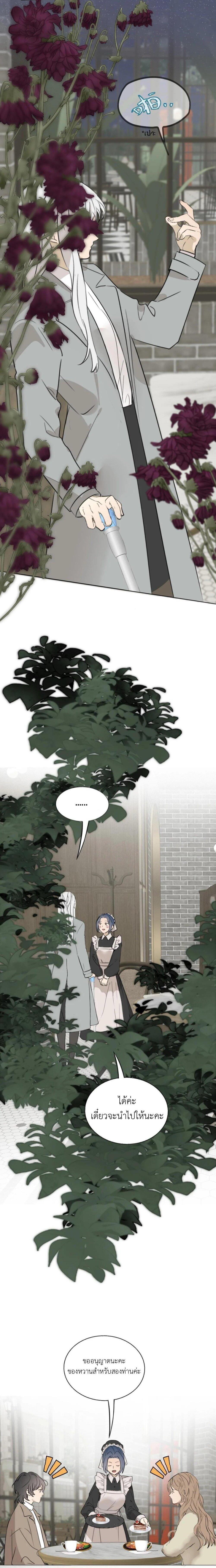 Manga-lc-com อ่านมังงะ อ่านการ์ตูน ออนไลน์ ฟรี Manipulate My Heart ตอนที่ 1 2 3 4 5 6 7 8 9 10 11 12 13 14 ฟรี ไม่มีโฆษณา Manga-lc - อ่าน มังงะ อ่าน การ์ตูน ออนไลน์ อ่านมังงะ ฟรี