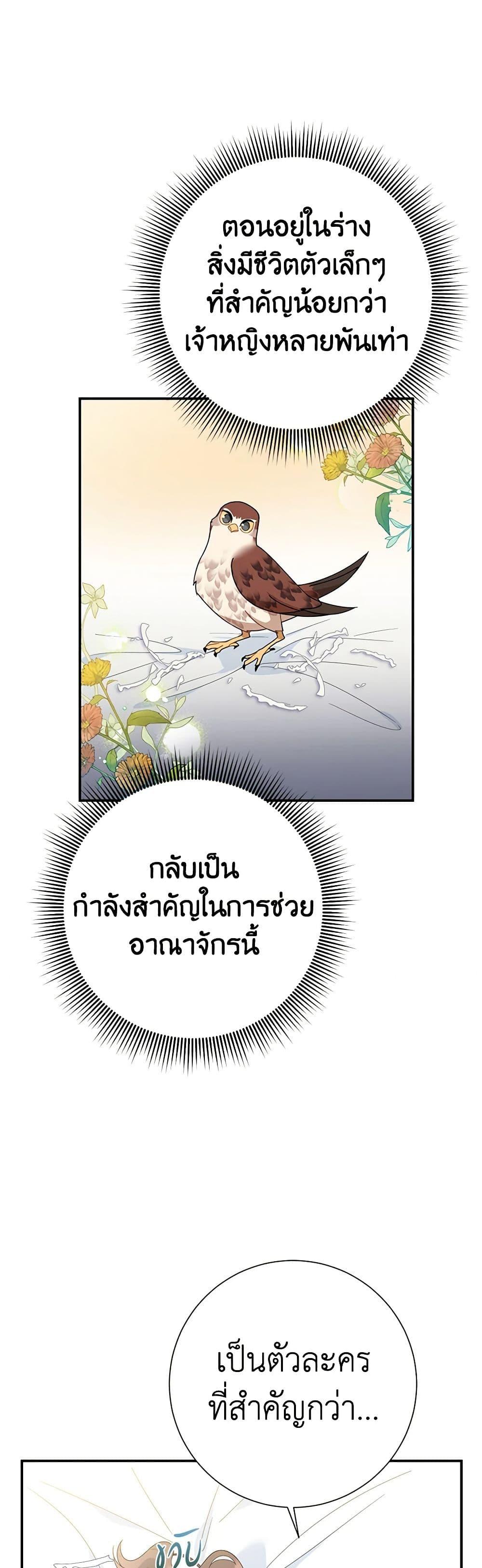 Manga-lc-com อ่านมังงะ อ่านการ์ตูน ออนไลน์ ฟรี The Falcon Princess ตอนที่ 1 2 3 4 5 6 7 8 9 10 11 12 13 14 ฟรี ไม่มีโฆษณา Manga-lc - อ่าน มังงะ อ่าน การ์ตูน ออนไลน์ อ่านมังงะ ฟรี