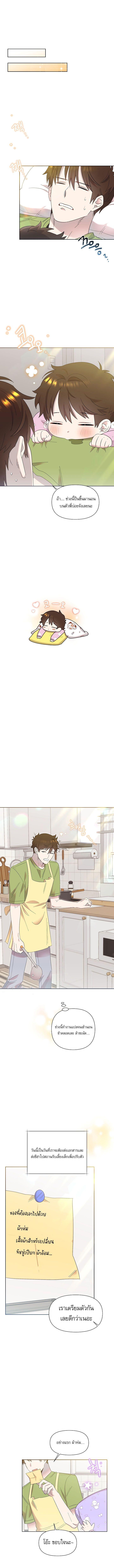 Manga-lc-com อ่านมังงะ อ่านการ์ตูน ออนไลน์ ฟรี Brother, Am I Cute ตอนที่ 1 2 3 4 5 6 7 8 9 10 11 12 13 14 ฟรี ไม่มีโฆษณา Manga-lc - อ่าน มังงะ อ่าน การ์ตูน ออนไลน์ อ่านมังงะ ฟรี