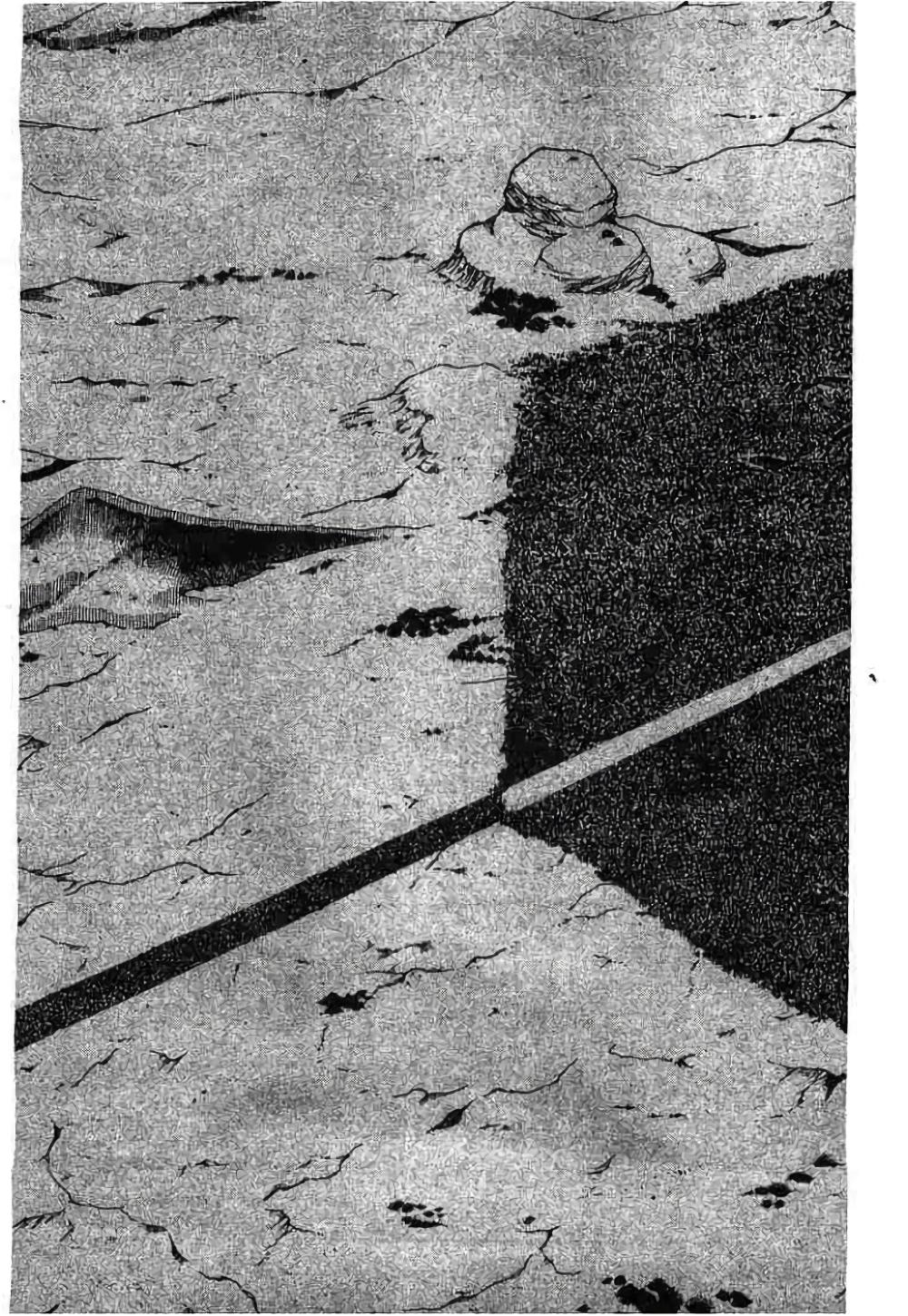 Manga-lc-com อ่านมังงะ อ่านการ์ตูน ออนไลน์ ฟรี Hunter X Hunter ตอนที่ 1 2 3 4 5 6 7 8 9 10 11 12 13 14 ฟรี ไม่มีโฆษณา Manga-lc - อ่าน มังงะ อ่าน การ์ตูน ออนไลน์ อ่านมังงะ ฟรี