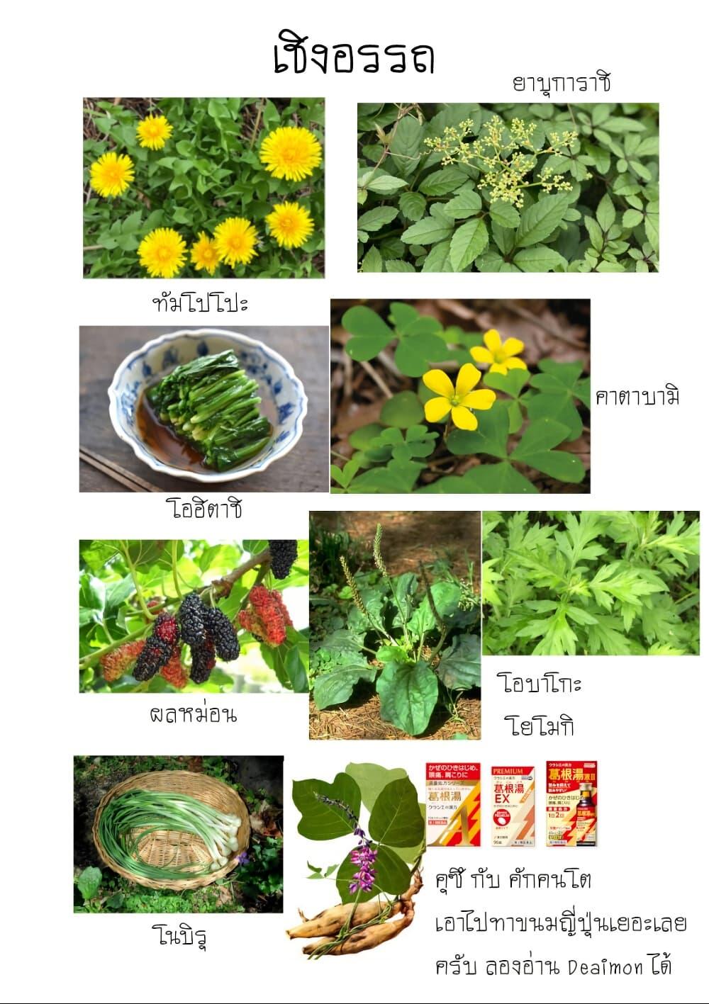 Manga-lc-com อ่านมังงะ อ่านการ์ตูน ออนไลน์ ฟรี Bocchi the Rock! Gaiden – Hiroi Kikuri no Fukazake Nikki ตอนที่ 1 2 3 4 5 6 7 8 9 10 11 12 13 14 ฟรี ไม่มีโฆษณา Manga-lc - อ่าน มังงะ อ่าน การ์ตูน ออนไลน์ อ่านมังงะ ฟรี