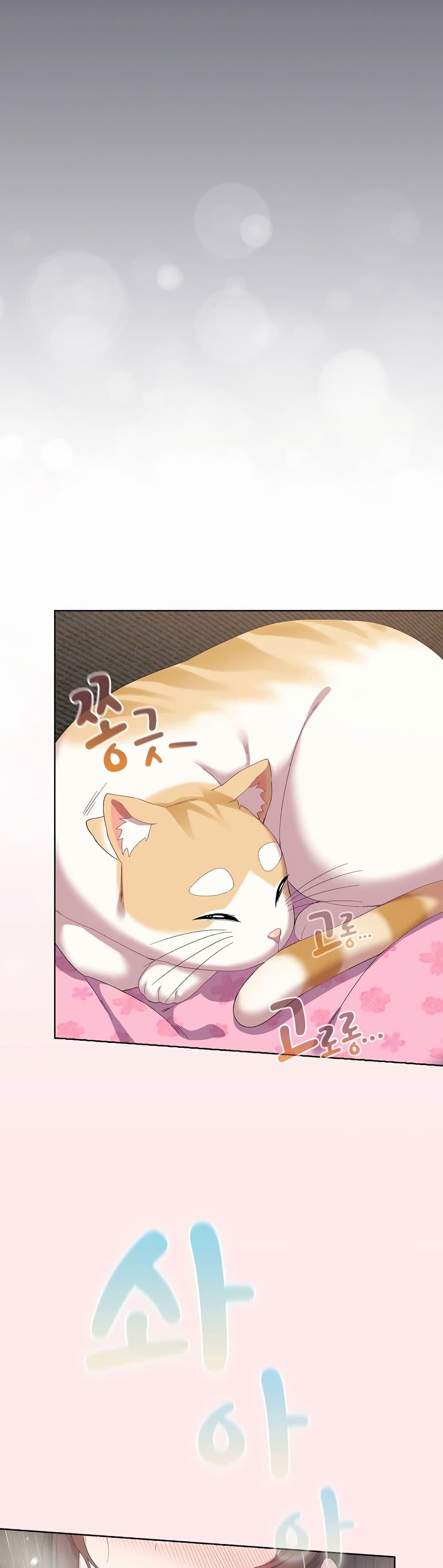 Doujin-Lc- อ่าน โดจิน มังฮวา เกาหลี ญี่ปุ่น จีน แปลไทย The General Is Here! ตอนที่ 1 2 3 4 5 6 7 8 9 10 11 12 13 14 ฟรี ไม่มีโฆษณา อ่าน โดจิน Manhwa เกาหลี ญี่ปุ่น จีน เรามีครบ คัดมาให้เน้นๆ โดจิน 18+ รับประกันความฟินโดย  Doujin Lc