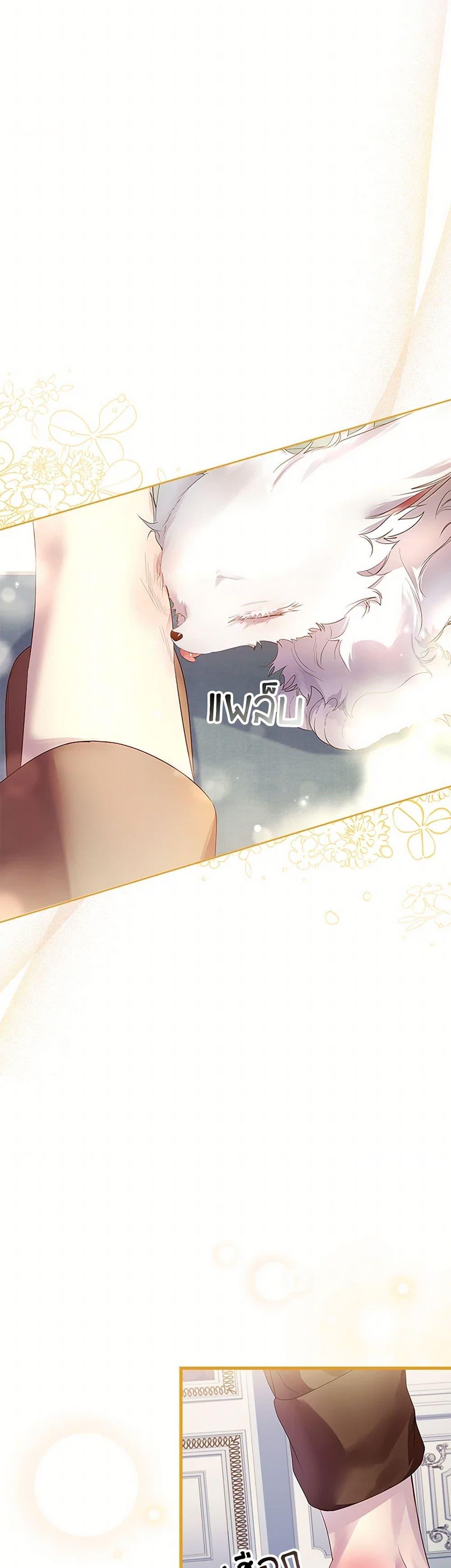 Manga-lc-com อ่านมังงะ อ่านการ์ตูน ออนไลน์ ฟรี I Raised the Nine-Tailed Fox Wrongly ตอนที่ 1 2 3 4 5 6 7 8 9 10 11 12 13 14 ฟรี ไม่มีโฆษณา Manga-lc - อ่าน มังงะ อ่าน การ์ตูน ออนไลน์ อ่านมังงะ ฟรี