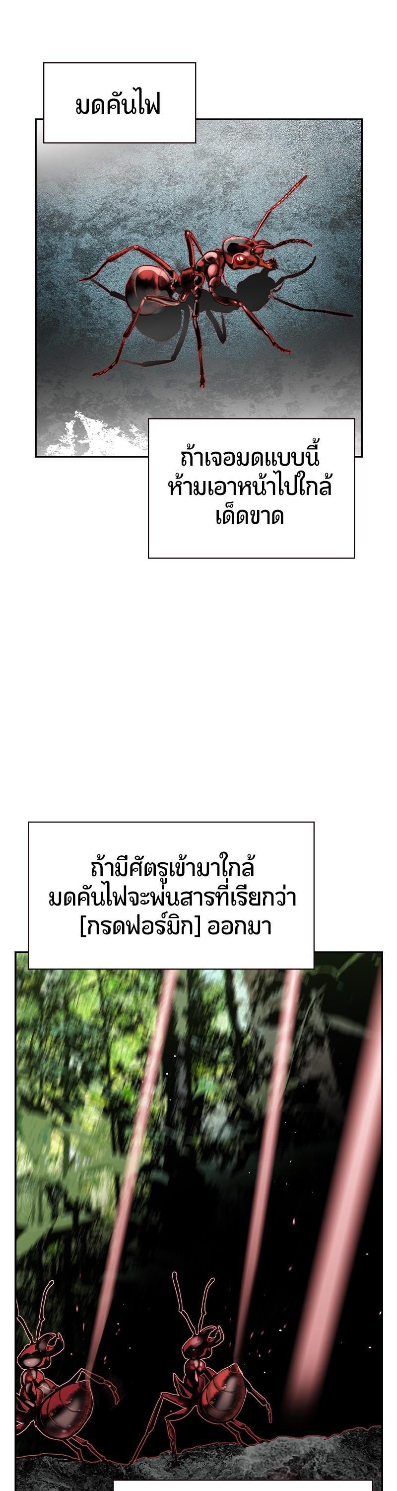 Manga-lc-com อ่านมังงะ อ่านการ์ตูน ออนไลน์ ฟรี Jungle Juice ตอนที่ 1 2 3 4 5 6 7 8 9 10 11 12 13 14 ฟรี ไม่มีโฆษณา Manga-lc - อ่าน มังงะ อ่าน การ์ตูน ออนไลน์ อ่านมังงะ ฟรี