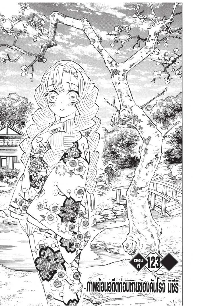 Kimetsu no yaiba ดาบพ_ฆาตอส_ร ตอนที่ ตอนที่ 116-124 รูปที่ 149