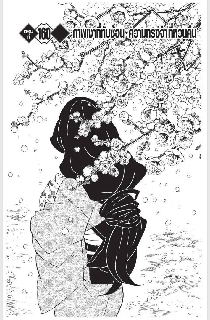 Kimetsu no yaiba ดาบพ_ฆาตอส_ร ตอนที่ ตอนที่ 152-160 รูปที่ 171