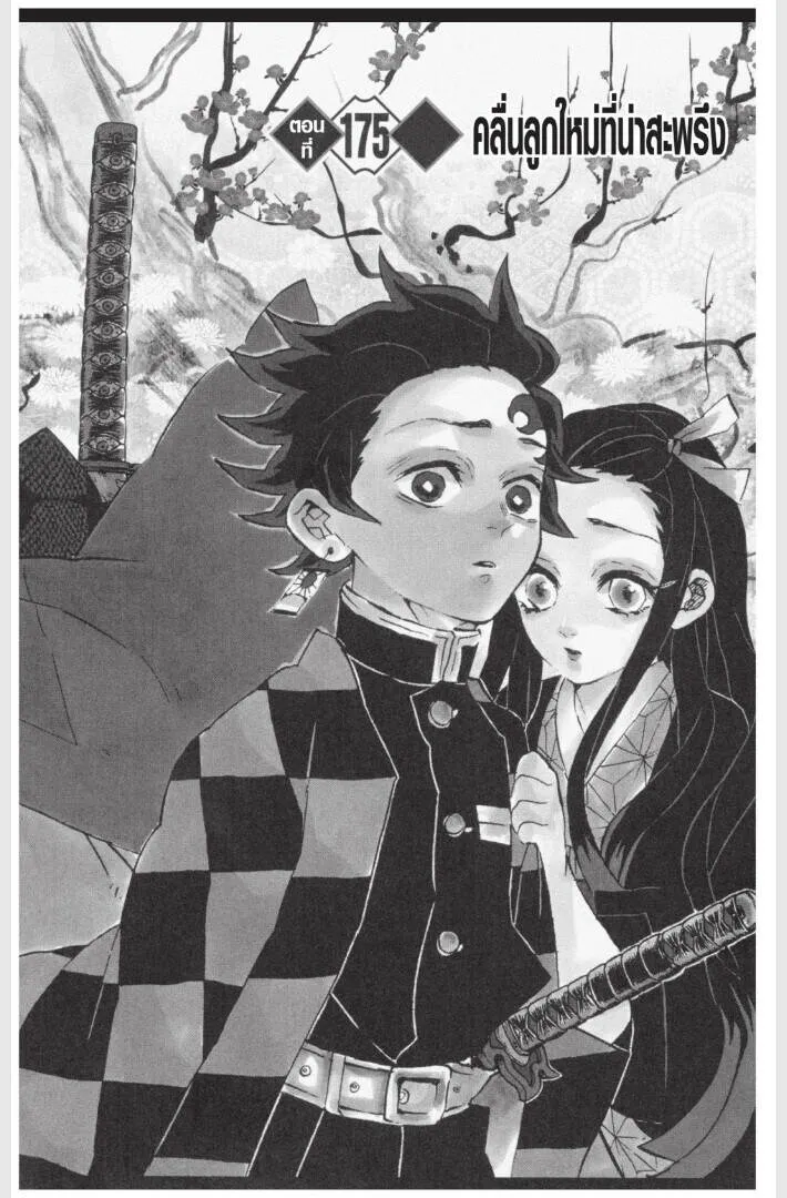 Kimetsu no yaiba ดาบพ_ฆาตอส_ร ตอนที่ ตอนที่ 170-178 รูปที่ 106