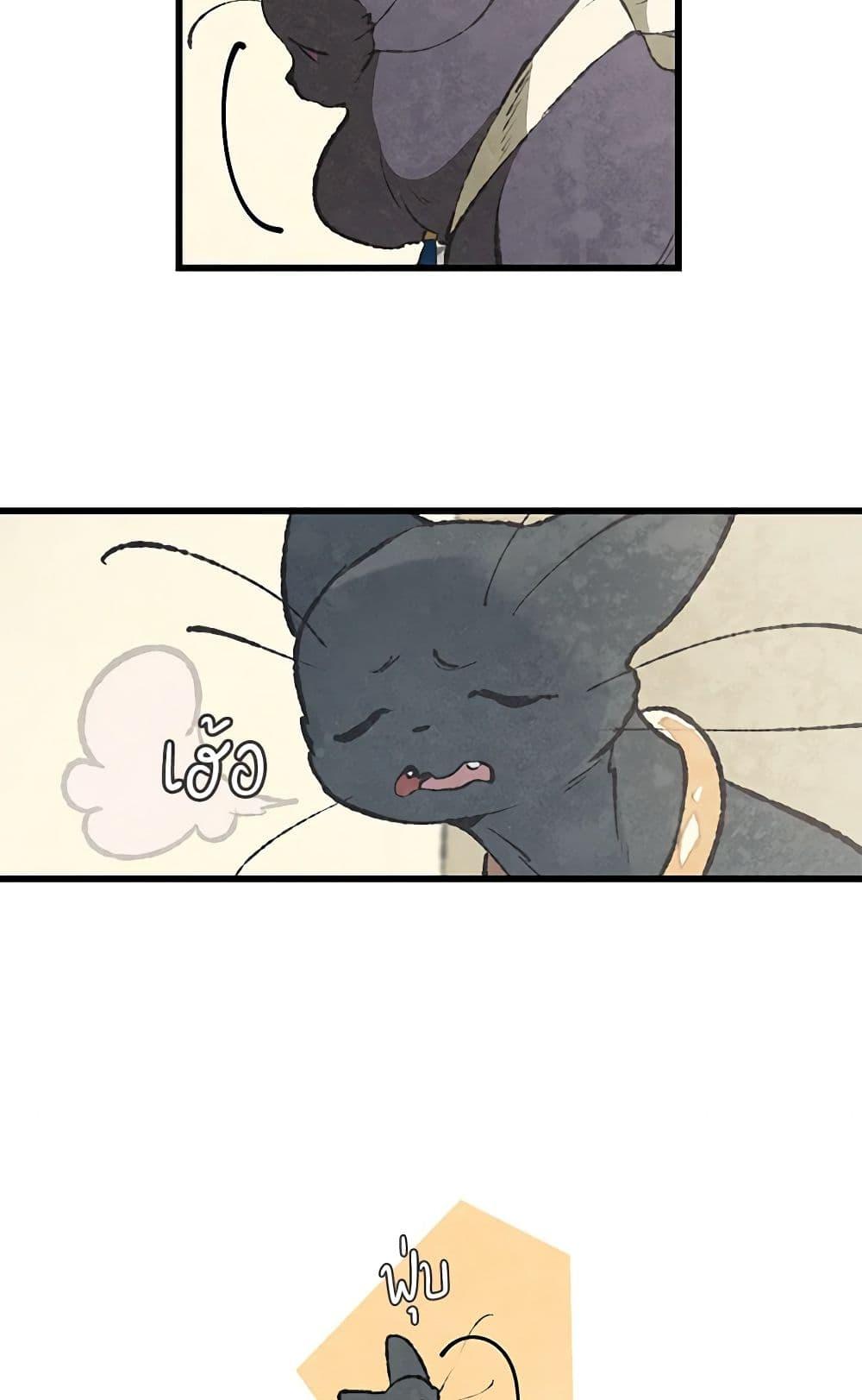 Manga-lc-com อ่านมังงะ อ่านการ์ตูน ออนไลน์ ฟรี Wait Where the Shooting Star Falls ตอนที่ 1 2 3 4 5 6 7 8 9 10 11 12 13 14 ฟรี ไม่มีโฆษณา Manga-lc - อ่าน มังงะ อ่าน การ์ตูน ออนไลน์ อ่านมังงะ ฟรี