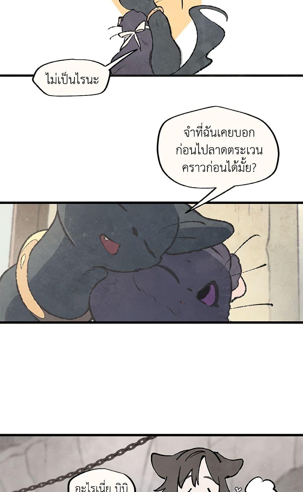 Manga-lc-com อ่านมังงะ อ่านการ์ตูน ออนไลน์ ฟรี Wait Where the Shooting Star Falls ตอนที่ 1 2 3 4 5 6 7 8 9 10 11 12 13 14 ฟรี ไม่มีโฆษณา Manga-lc - อ่าน มังงะ อ่าน การ์ตูน ออนไลน์ อ่านมังงะ ฟรี