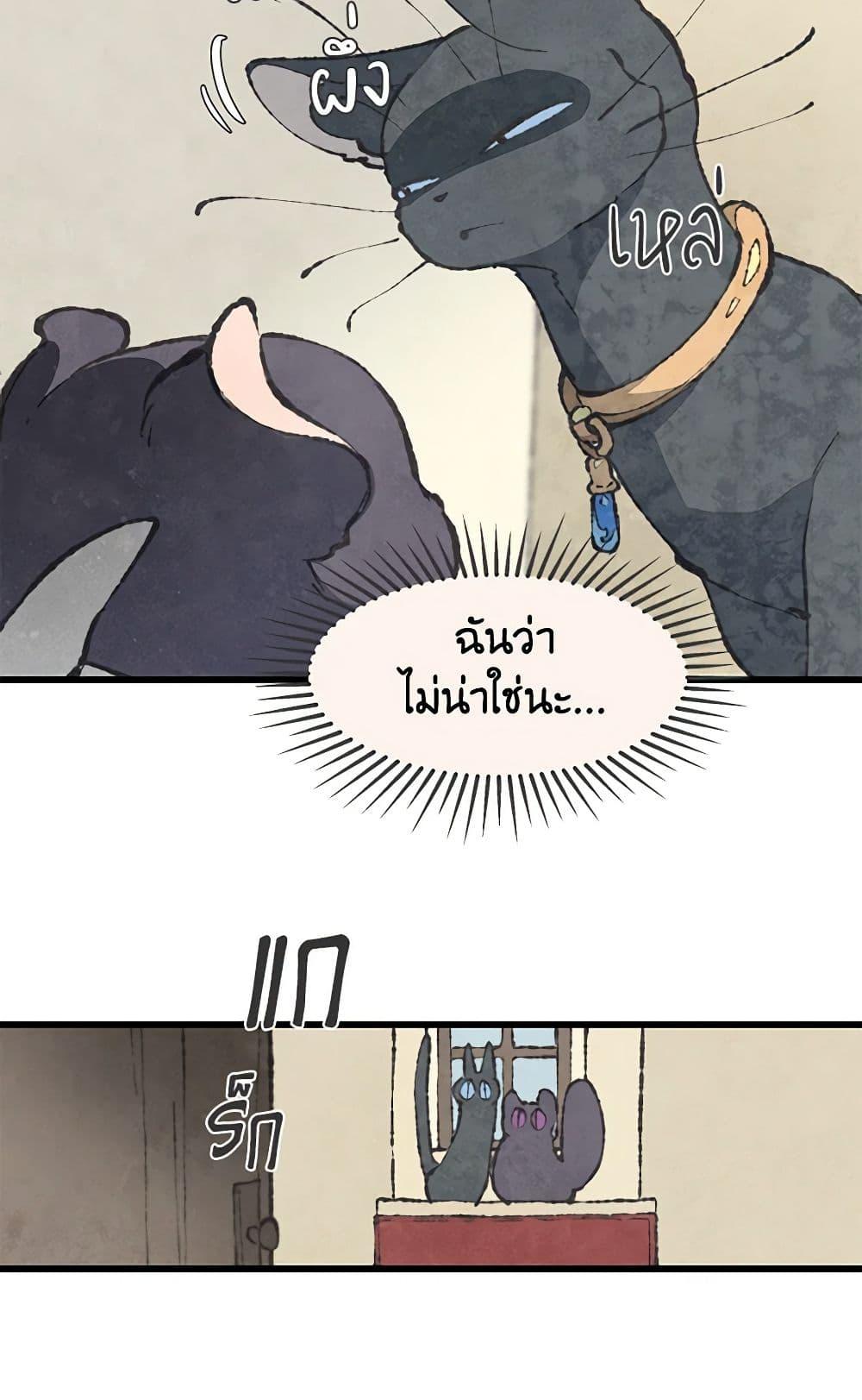 Manga-lc-com อ่านมังงะ อ่านการ์ตูน ออนไลน์ ฟรี Wait Where the Shooting Star Falls ตอนที่ 1 2 3 4 5 6 7 8 9 10 11 12 13 14 ฟรี ไม่มีโฆษณา Manga-lc - อ่าน มังงะ อ่าน การ์ตูน ออนไลน์ อ่านมังงะ ฟรี