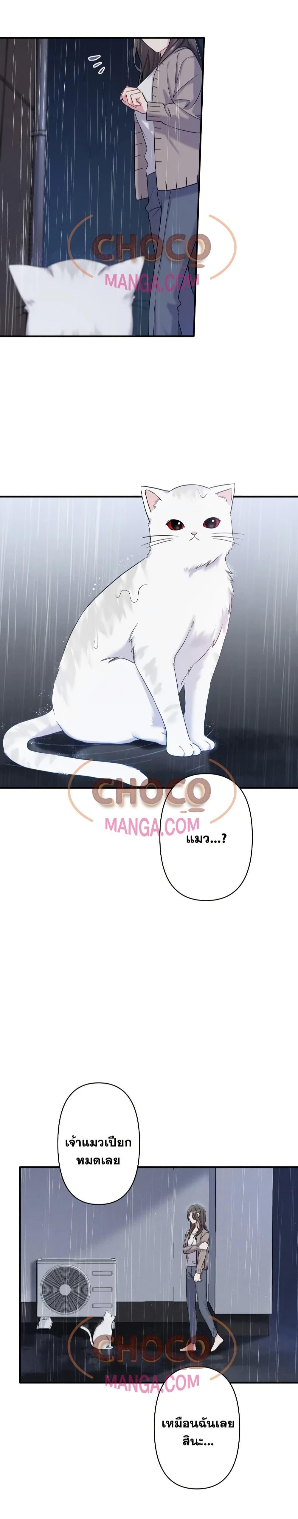 Manga-lc-com อ่านมังงะ อ่านการ์ตูน ออนไลน์ ฟรี MyThreeHusban ตอนที่ 1 2 3 4 5 6 7 8 9 10 11 12 13 14 ฟรี ไม่มีโฆษณา Manga-lc - อ่าน มังงะ อ่าน การ์ตูน ออนไลน์ อ่านมังงะ ฟรี