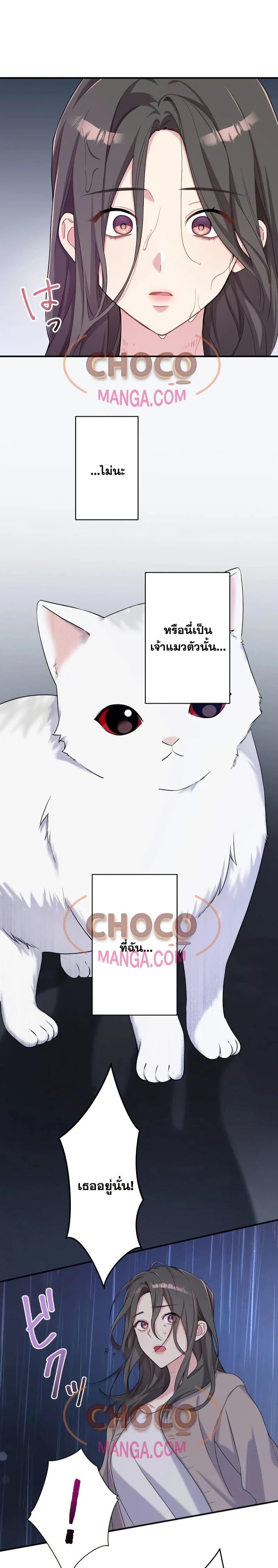 Manga-lc-com อ่านมังงะ อ่านการ์ตูน ออนไลน์ ฟรี MyThreeHusban ตอนที่ 1 2 3 4 5 6 7 8 9 10 11 12 13 14 ฟรี ไม่มีโฆษณา Manga-lc - อ่าน มังงะ อ่าน การ์ตูน ออนไลน์ อ่านมังงะ ฟรี