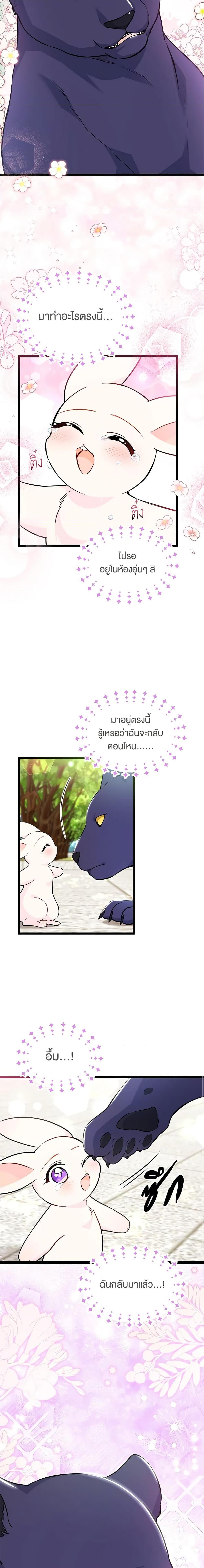 Manga-lc-com อ่านมังงะ อ่านการ์ตูน ออนไลน์ ฟรี The Symbiotic Relationship Between a Panther and a Rabbit ตอนที่ 1 2 3 4 5 6 7 8 9 10 11 12 13 14 ฟรี ไม่มีโฆษณา Manga-lc - อ่าน มังงะ อ่าน การ์ตูน ออนไลน์ อ่านมังงะ ฟรี