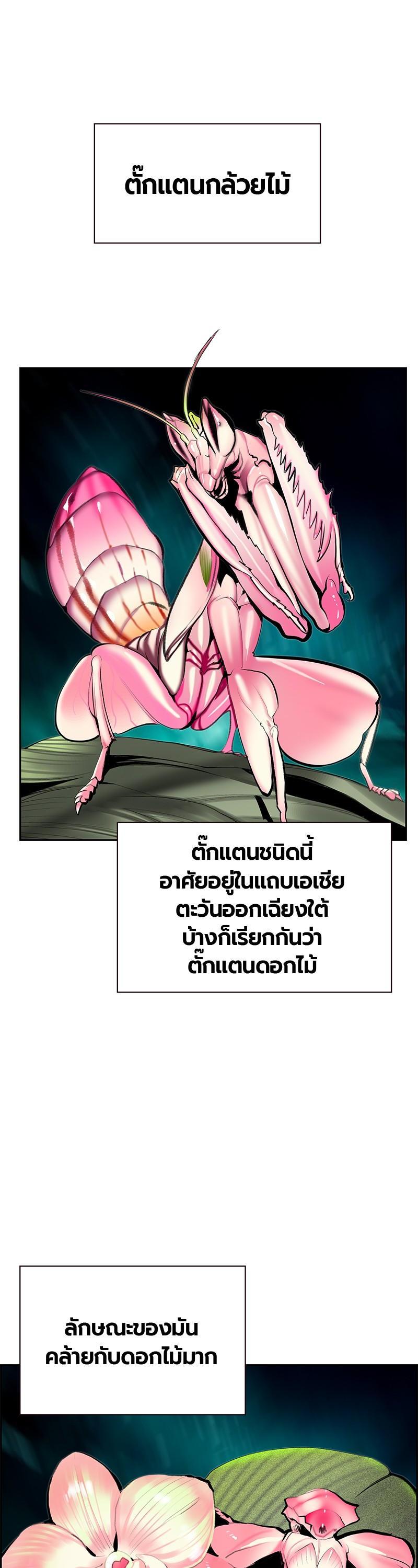 Manga-lc-com อ่านมังงะ อ่านการ์ตูน ออนไลน์ ฟรี Jungle Juice ตอนที่ 1 2 3 4 5 6 7 8 9 10 11 12 13 14 ฟรี ไม่มีโฆษณา Manga-lc - อ่าน มังงะ อ่าน การ์ตูน ออนไลน์ อ่านมังงะ ฟรี