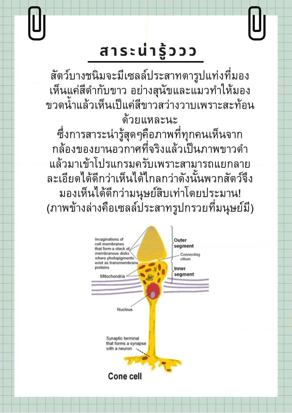 Manga-lc-com อ่านมังงะ อ่านการ์ตูน ออนไลน์ ฟรี Shikanoko Nokonoko Koshitantan ตอนที่ 1 2 3 4 5 6 7 8 9 10 11 12 13 14 ฟรี ไม่มีโฆษณา Manga-lc - อ่าน มังงะ อ่าน การ์ตูน ออนไลน์ อ่านมังงะ ฟรี