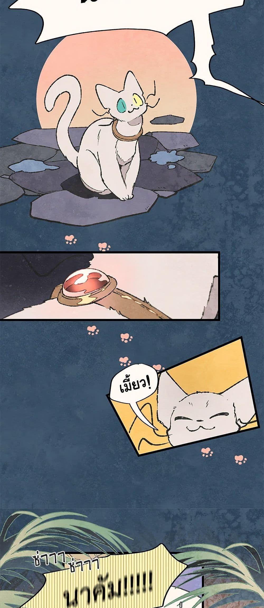 Manga-lc-com อ่านมังงะ อ่านการ์ตูน ออนไลน์ ฟรี Wait Where the Shooting Star Falls ตอนที่ 1 2 3 4 5 6 7 8 9 10 11 12 13 14 ฟรี ไม่มีโฆษณา Manga-lc - อ่าน มังงะ อ่าน การ์ตูน ออนไลน์ อ่านมังงะ ฟรี