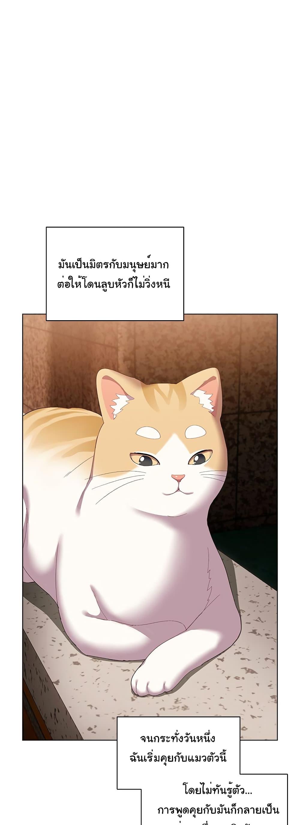 Doujin-Lc- อ่าน โดจิน มังฮวา เกาหลี ญี่ปุ่น จีน แปลไทย The General Is Here! ตอนที่ 1 2 3 4 5 6 7 8 9 10 11 12 13 14 ฟรี ไม่มีโฆษณา อ่าน โดจิน Manhwa เกาหลี ญี่ปุ่น จีน เรามีครบ คัดมาให้เน้นๆ โดจิน 18+ รับประกันความฟินโดย  Doujin Lc