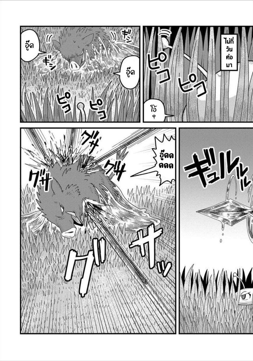 Manga-lc-com อ่านมังงะ อ่านการ์ตูน ออนไลน์ ฟรี เกิดใหม่เป็นลูกปลาในต่างโลก! ตอนที่ 1 2 3 4 5 6 7 8 9 10 11 12 13 14 ฟรี ไม่มีโฆษณา Manga-lc - อ่าน มังงะ อ่าน การ์ตูน ออนไลน์ อ่านมังงะ ฟรี