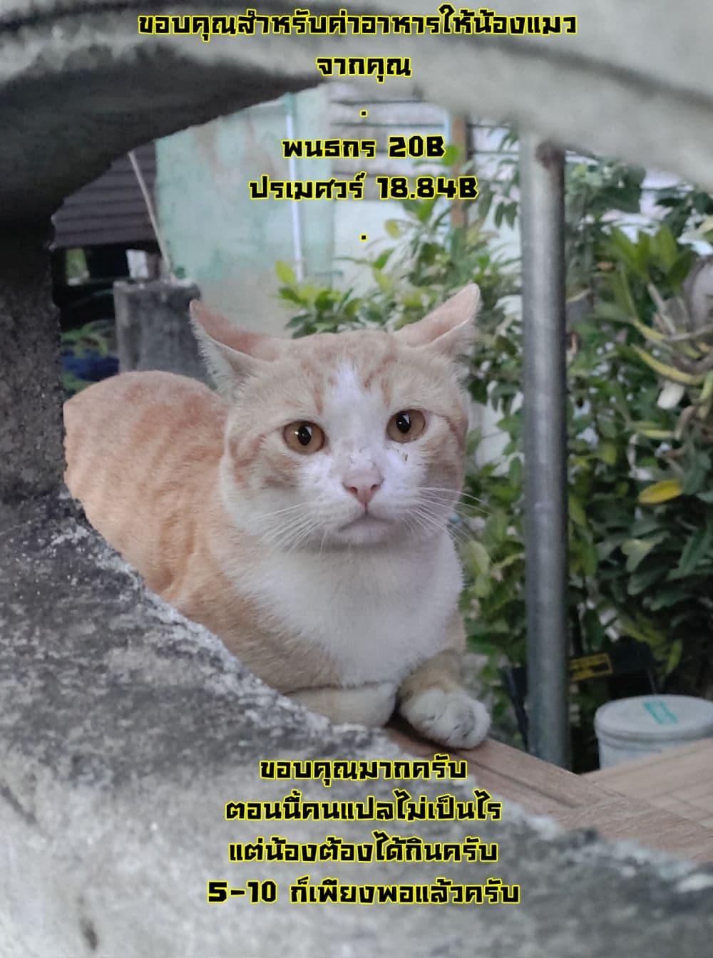 Manga-lc-com อ่านมังงะ อ่านการ์ตูน ออนไลน์ ฟรี Ore wa Subete wo “Parry” Suru ตอนที่ 1 2 3 4 5 6 7 8 9 10 11 12 13 14 ฟรี ไม่มีโฆษณา Manga-lc - อ่าน มังงะ อ่าน การ์ตูน ออนไลน์ อ่านมังงะ ฟรี