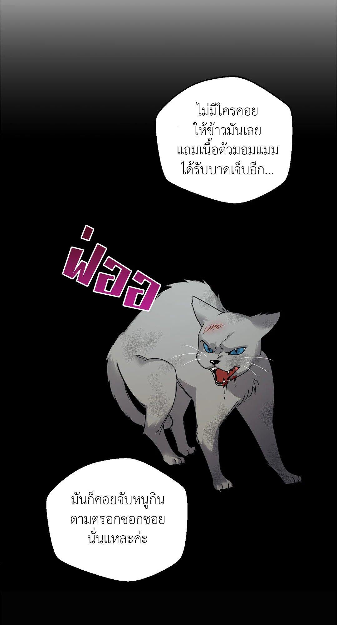 Doujin-Lc- อ่าน โดจิน มังฮวา เกาหลี ญี่ปุ่น จีน แปลไทย Her Weakness ตอนที่ 1 2 3 4 5 6 7 8 9 10 11 12 13 14 ฟรี ไม่มีโฆษณา อ่าน โดจิน Manhwa เกาหลี ญี่ปุ่น จีน เรามีครบ คัดมาให้เน้นๆ โดจิน 18+ รับประกันความฟินโดย  Doujin Lc