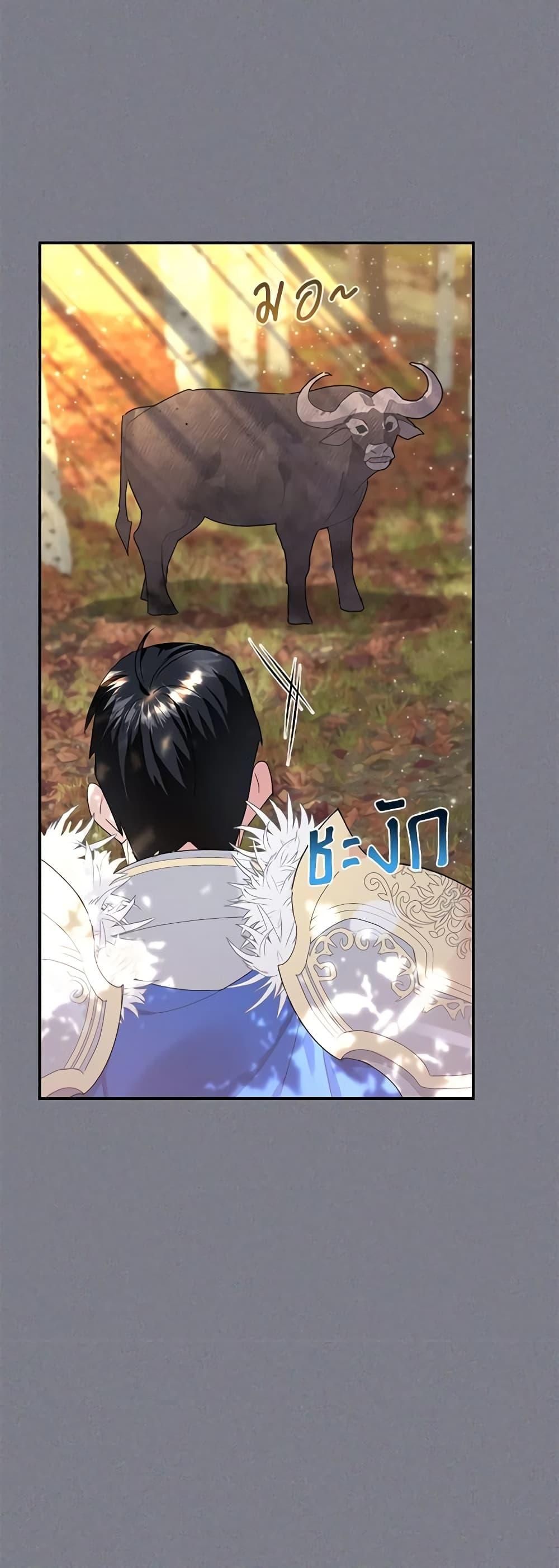 Manga-lc-com อ่านมังงะ อ่านการ์ตูน ออนไลน์ ฟรี The Falcon Princess ตอนที่ 1 2 3 4 5 6 7 8 9 10 11 12 13 14 ฟรี ไม่มีโฆษณา Manga-lc - อ่าน มังงะ อ่าน การ์ตูน ออนไลน์ อ่านมังงะ ฟรี
