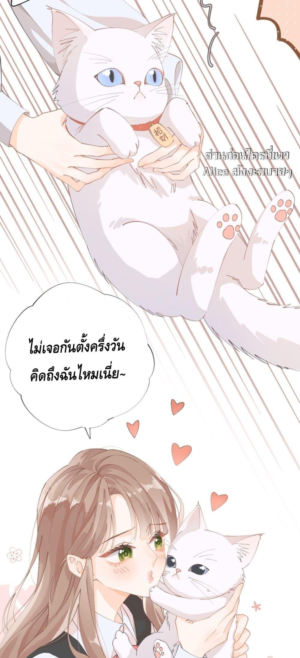 Manga-lc-com อ่านมังงะ อ่านการ์ตูน ออนไลน์ ฟรี Mysisterflipp ตอนที่ 1 2 3 4 5 6 7 8 9 10 11 12 13 14 ฟรี ไม่มีโฆษณา Manga-lc - อ่าน มังงะ อ่าน การ์ตูน ออนไลน์ อ่านมังงะ ฟรี