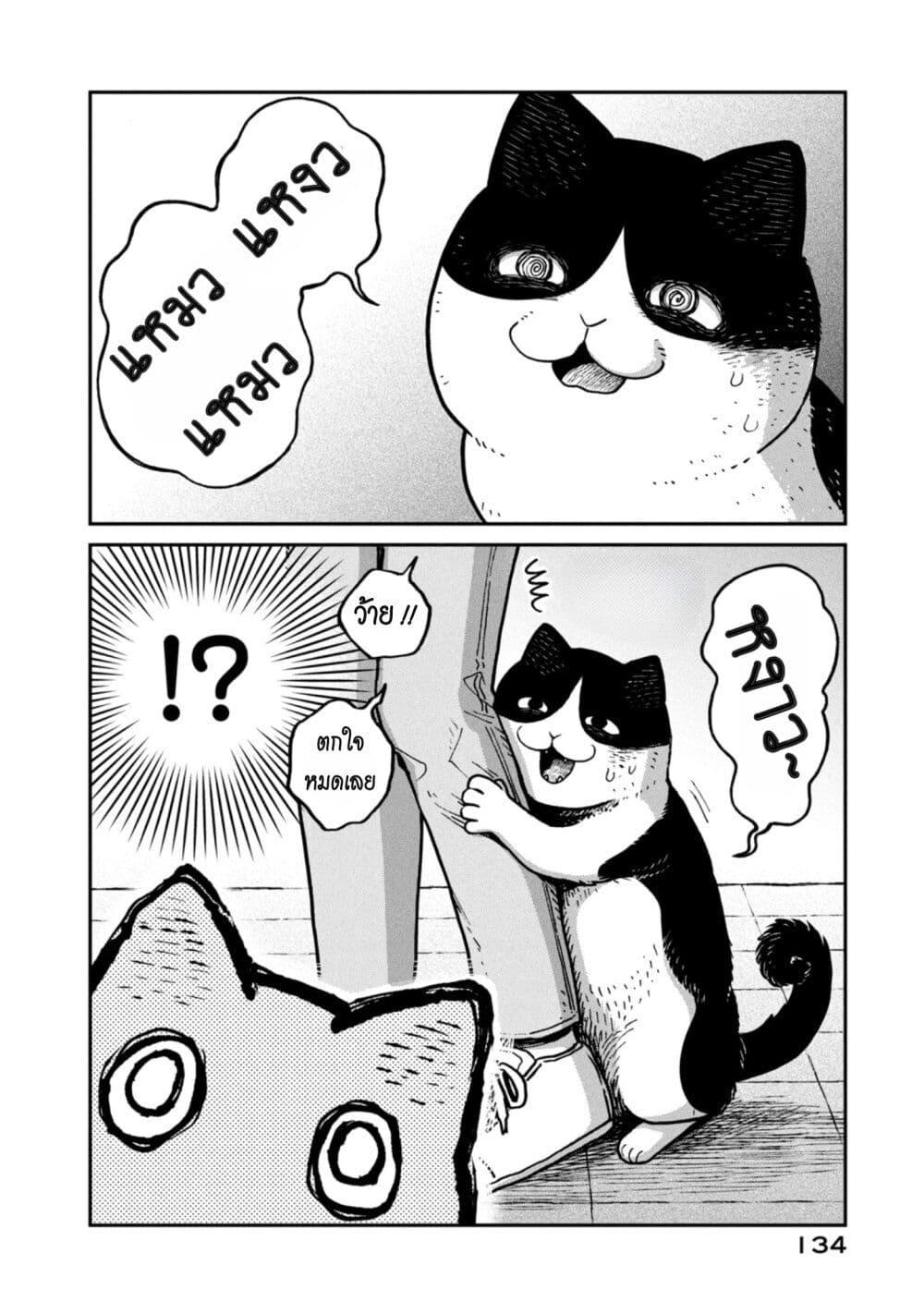 Manga-lc-com อ่านมังงะ อ่านการ์ตูน ออนไลน์ ฟรี Tsureneko – Maruru to Hachi ตอนที่ 1 2 3 4 5 6 7 8 9 10 11 12 13 14 ฟรี ไม่มีโฆษณา Manga-lc - อ่าน มังงะ อ่าน การ์ตูน ออนไลน์ อ่านมังงะ ฟรี