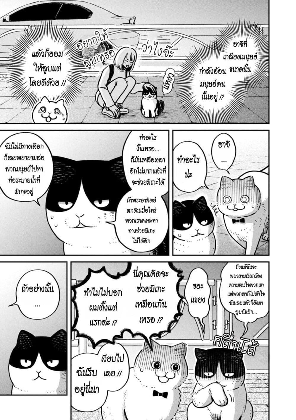 Manga-lc-com อ่านมังงะ อ่านการ์ตูน ออนไลน์ ฟรี Tsureneko – Maruru to Hachi ตอนที่ 1 2 3 4 5 6 7 8 9 10 11 12 13 14 ฟรี ไม่มีโฆษณา Manga-lc - อ่าน มังงะ อ่าน การ์ตูน ออนไลน์ อ่านมังงะ ฟรี