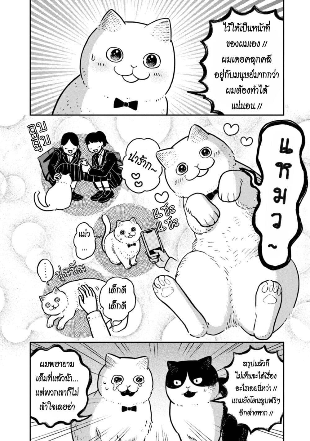 Manga-lc-com อ่านมังงะ อ่านการ์ตูน ออนไลน์ ฟรี Tsureneko – Maruru to Hachi ตอนที่ 1 2 3 4 5 6 7 8 9 10 11 12 13 14 ฟรี ไม่มีโฆษณา Manga-lc - อ่าน มังงะ อ่าน การ์ตูน ออนไลน์ อ่านมังงะ ฟรี