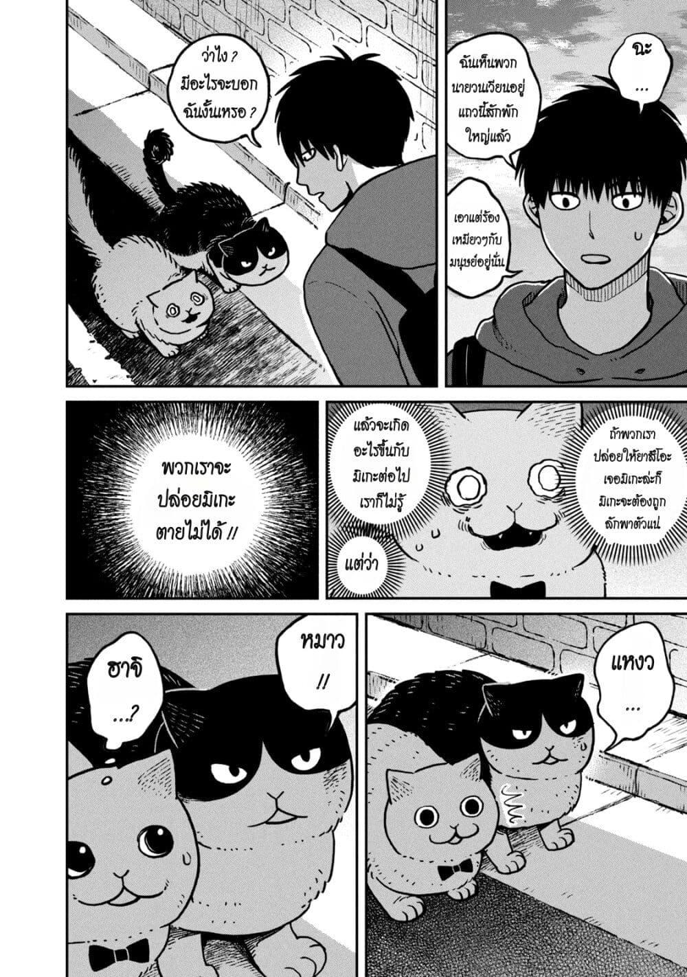 Manga-lc-com อ่านมังงะ อ่านการ์ตูน ออนไลน์ ฟรี Tsureneko – Maruru to Hachi ตอนที่ 1 2 3 4 5 6 7 8 9 10 11 12 13 14 ฟรี ไม่มีโฆษณา Manga-lc - อ่าน มังงะ อ่าน การ์ตูน ออนไลน์ อ่านมังงะ ฟรี