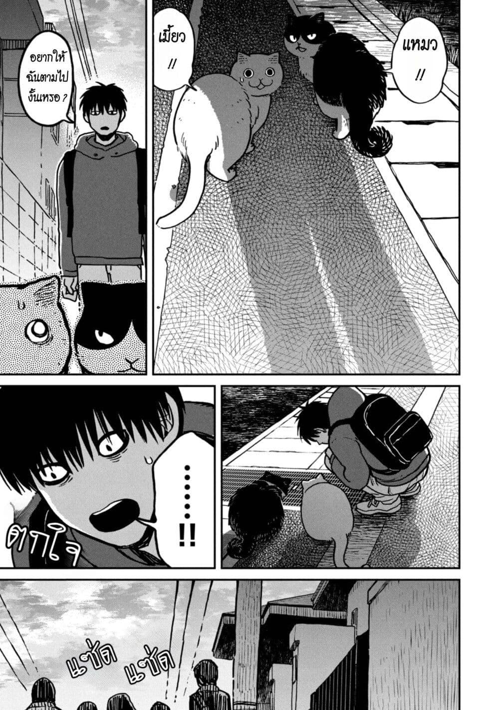 Manga-lc-com อ่านมังงะ อ่านการ์ตูน ออนไลน์ ฟรี Tsureneko – Maruru to Hachi ตอนที่ 1 2 3 4 5 6 7 8 9 10 11 12 13 14 ฟรี ไม่มีโฆษณา Manga-lc - อ่าน มังงะ อ่าน การ์ตูน ออนไลน์ อ่านมังงะ ฟรี