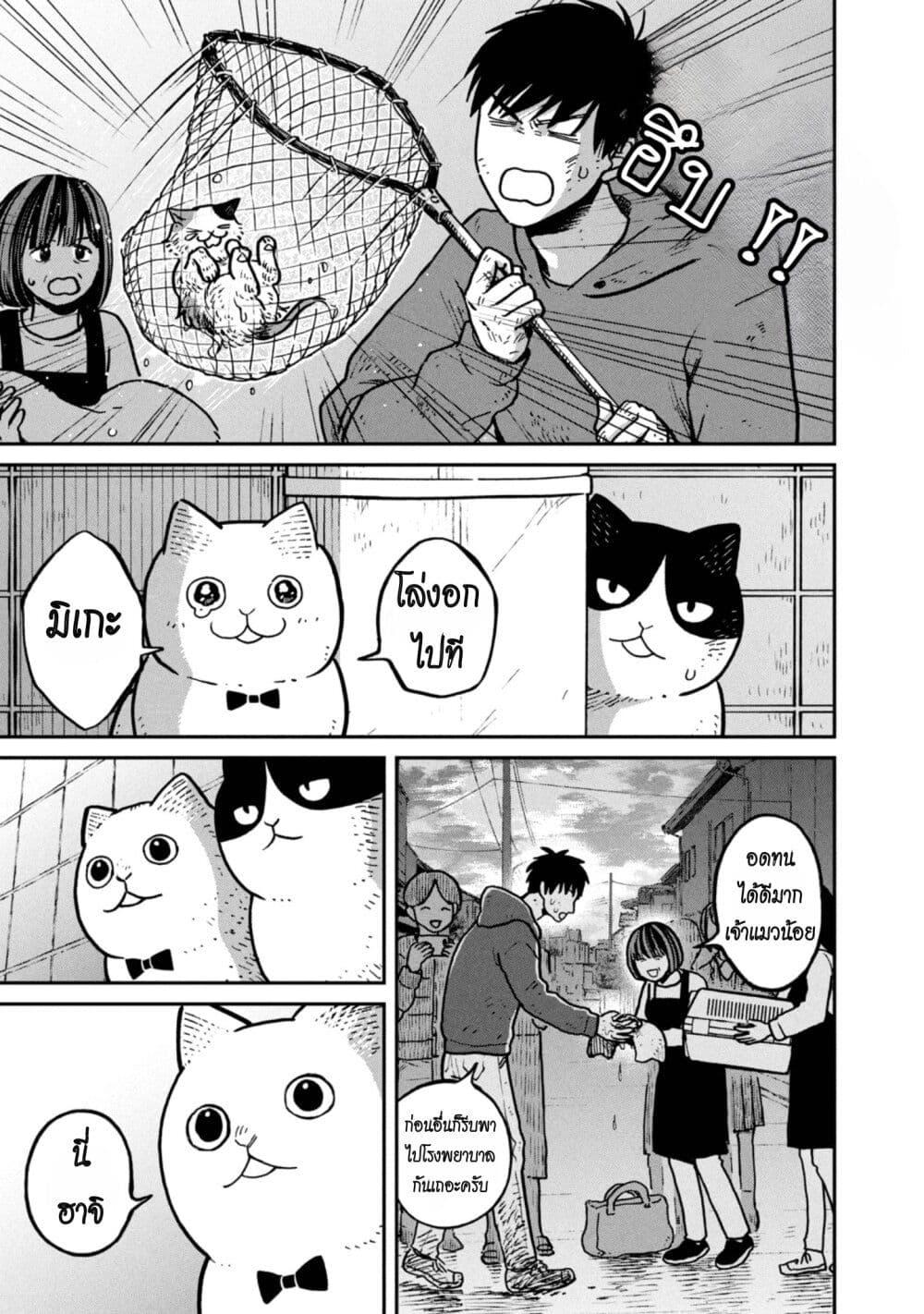 Manga-lc-com อ่านมังงะ อ่านการ์ตูน ออนไลน์ ฟรี Tsureneko – Maruru to Hachi ตอนที่ 1 2 3 4 5 6 7 8 9 10 11 12 13 14 ฟรี ไม่มีโฆษณา Manga-lc - อ่าน มังงะ อ่าน การ์ตูน ออนไลน์ อ่านมังงะ ฟรี