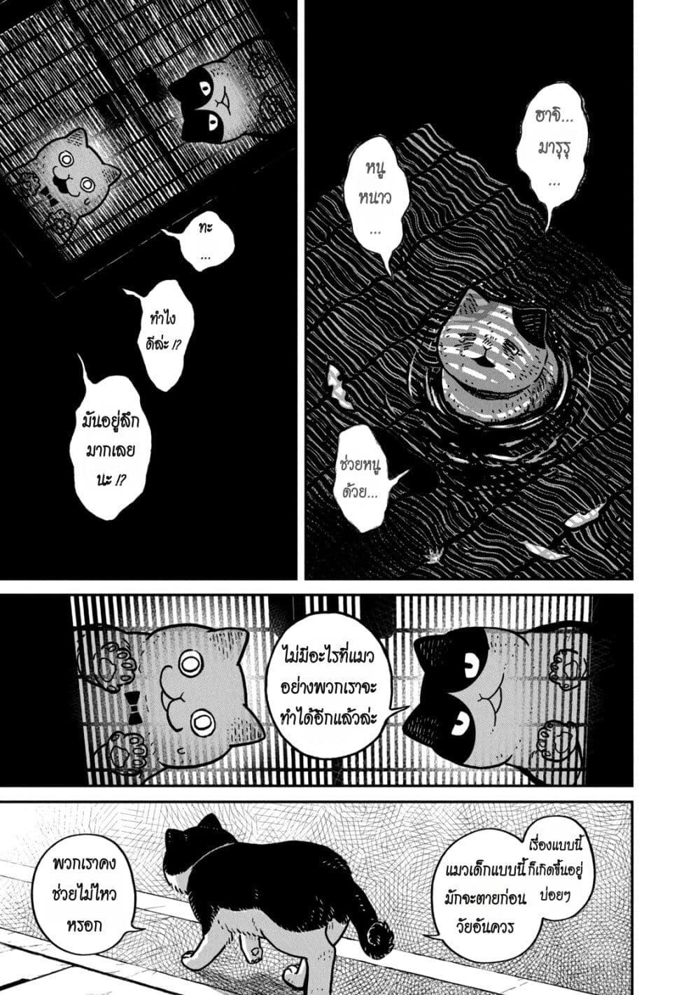 Manga-lc-com อ่านมังงะ อ่านการ์ตูน ออนไลน์ ฟรี Tsureneko – Maruru to Hachi ตอนที่ 1 2 3 4 5 6 7 8 9 10 11 12 13 14 ฟรี ไม่มีโฆษณา Manga-lc - อ่าน มังงะ อ่าน การ์ตูน ออนไลน์ อ่านมังงะ ฟรี