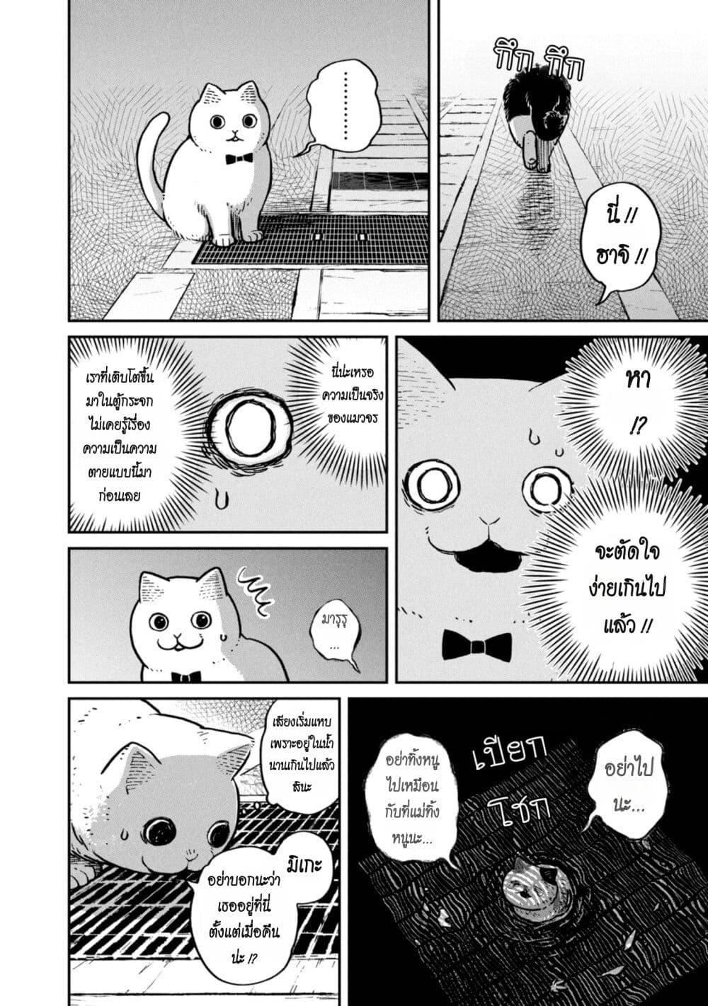 Manga-lc-com อ่านมังงะ อ่านการ์ตูน ออนไลน์ ฟรี Tsureneko – Maruru to Hachi ตอนที่ 1 2 3 4 5 6 7 8 9 10 11 12 13 14 ฟรี ไม่มีโฆษณา Manga-lc - อ่าน มังงะ อ่าน การ์ตูน ออนไลน์ อ่านมังงะ ฟรี