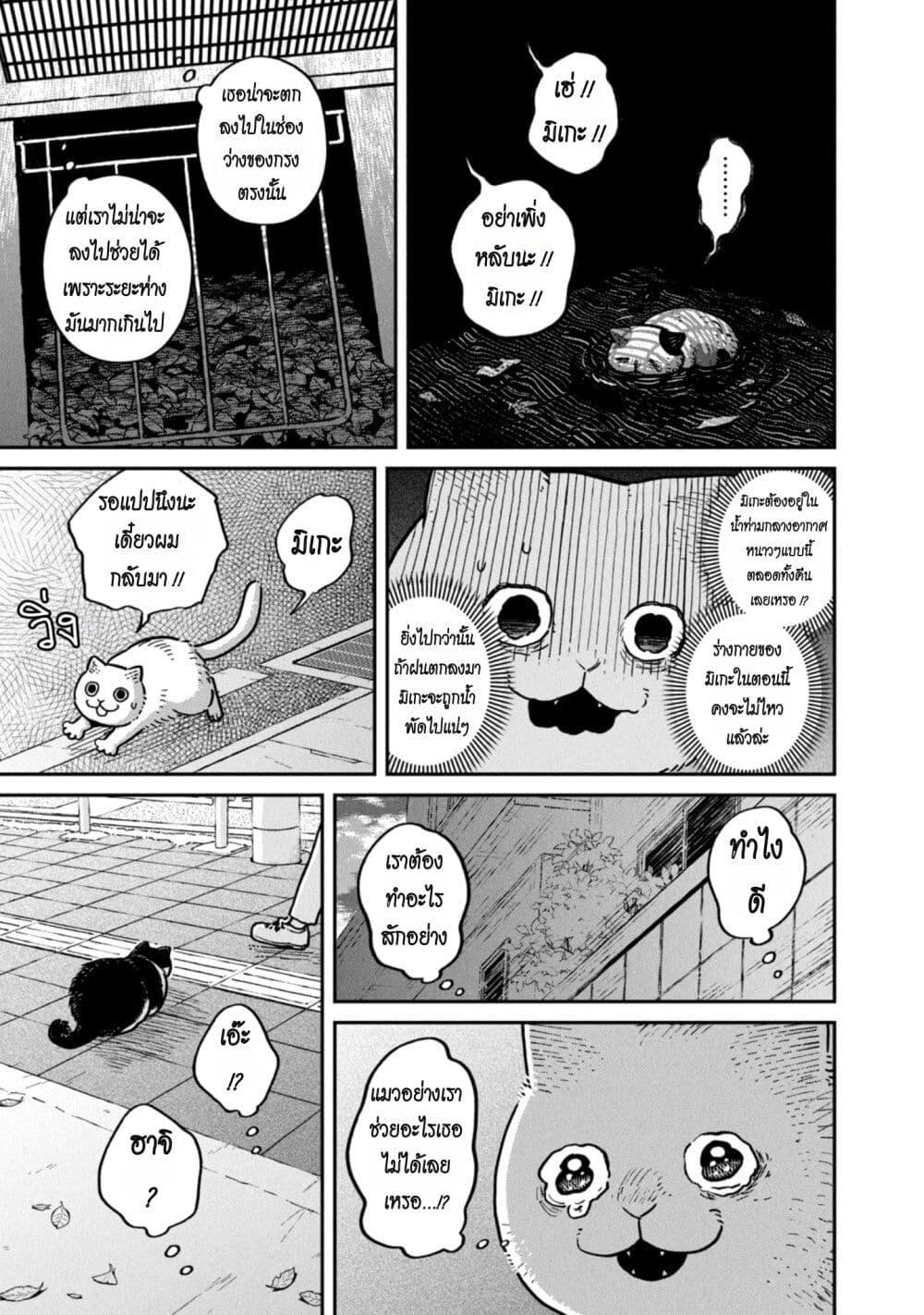 Manga-lc-com อ่านมังงะ อ่านการ์ตูน ออนไลน์ ฟรี Tsureneko – Maruru to Hachi ตอนที่ 1 2 3 4 5 6 7 8 9 10 11 12 13 14 ฟรี ไม่มีโฆษณา Manga-lc - อ่าน มังงะ อ่าน การ์ตูน ออนไลน์ อ่านมังงะ ฟรี