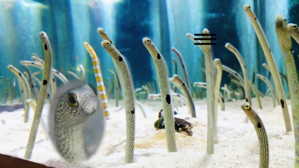 Manga-lc-com อ่านมังงะ อ่านการ์ตูน ออนไลน์ ฟรี Dou Ganbatte mo H ni Nacchau Osananajimi ตอนที่ 1 2 3 4 5 6 7 8 9 10 11 12 13 14 ฟรี ไม่มีโฆษณา Manga-lc - อ่าน มังงะ อ่าน การ์ตูน ออนไลน์ อ่านมังงะ ฟรี